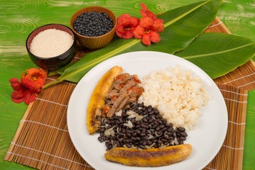 Pabellon criollo