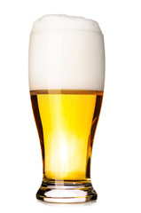 fresh lager beer