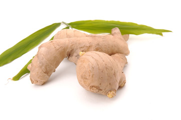 ginger