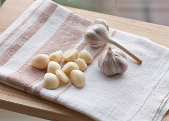 Garlic