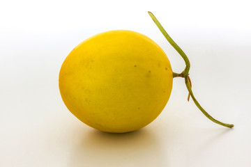 Cantaloupe melon