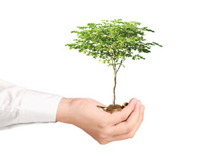 holding plant sprouting from a handful of coins