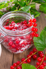 sugared red currant