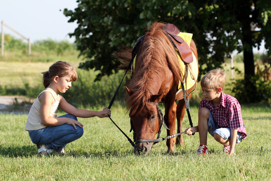 little girl and boy play with pony horse