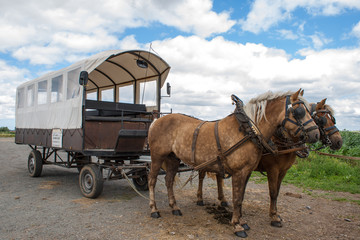 Through the flemish fields with horse and covered wagon.