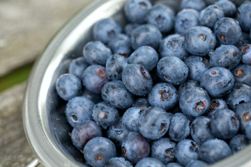 blueberries in a small colander on wooden background