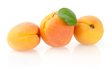 Ripe Apricots with Leaf Isolated on White Background