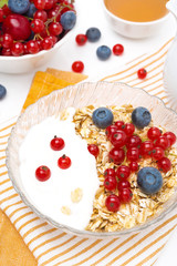 breakfast - muesli with berries, yogurt, honey and milk, closeup