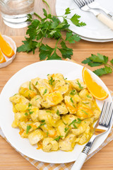 chicken fillet with orange sauce on a plate, top view