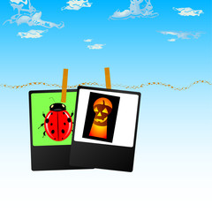 photo frame with ladybug and pumpkin vector illustration