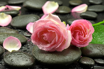 Fototapeta Róże na kamieniach do spa obraz