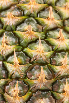 Background of pineapple skin. Macro.