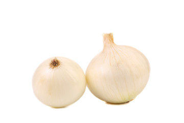white onion