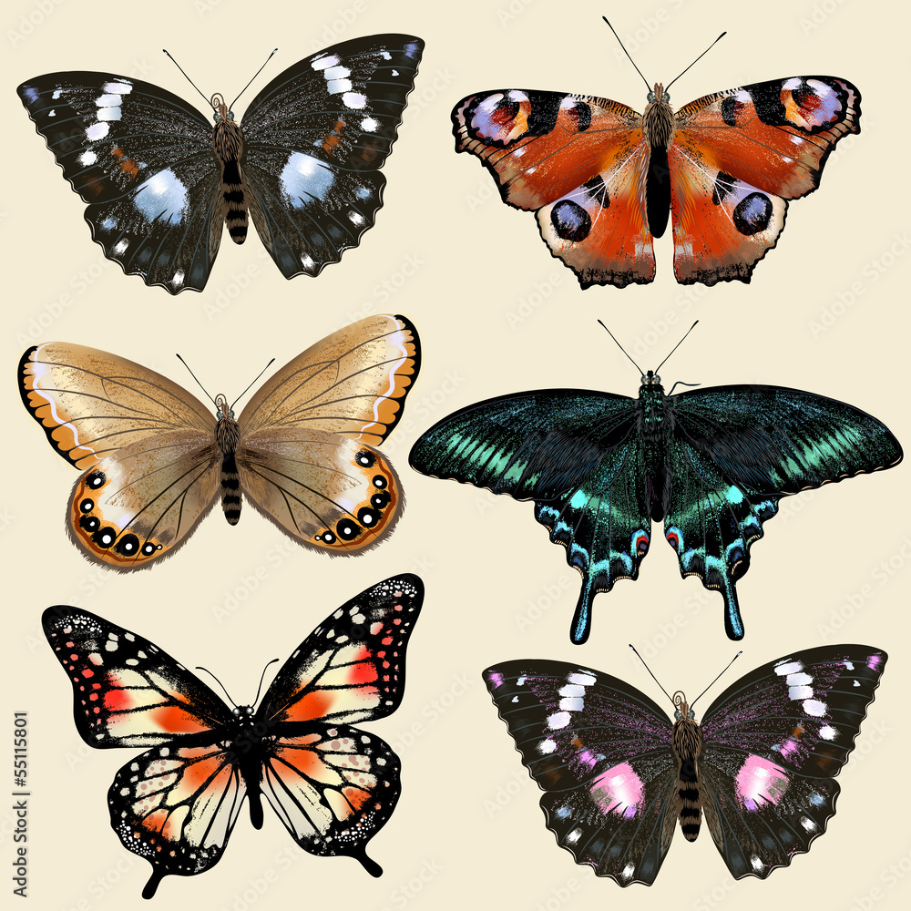 Aufkleber Set of vector colorful realistic butterflies for design