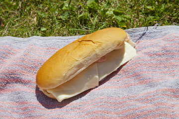 Sandwich