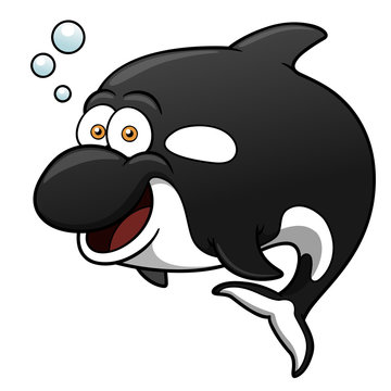 Vector illustration of killer whale cartoon