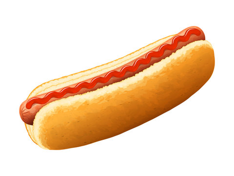 Hot dog with ketchup. Vector illustration.