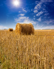 Stacks in the field