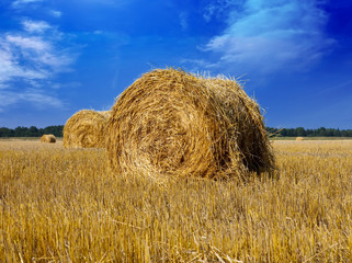 Stacks in the field