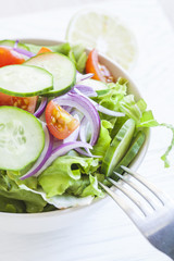 fresh green salad with cucumber, tomato and red onion.