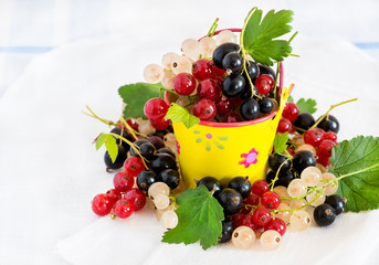 Mixed currants in a decorative bucket