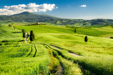 Countryside footpath in Tuscany