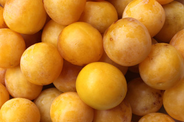 yellow plums