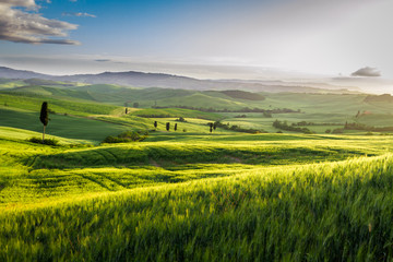 Rising fog in the valley at sunset, Tuscany