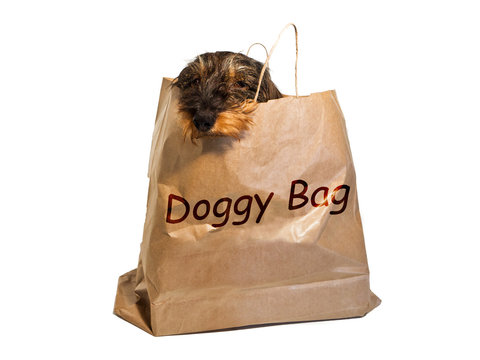 Dackel in einer Papiertüte, Fresspaket, Doggy Bag Stock Photo | Adobe Stock