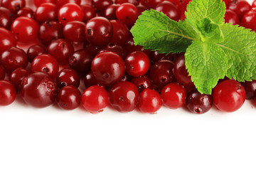 Ripe red cranberries, isolated on white.