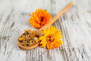 Fresh and dried calendula flowers on wooden background