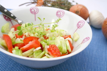 Gurkensalat mit Tomate