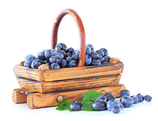 Blueberries in wooden basket isolated on white