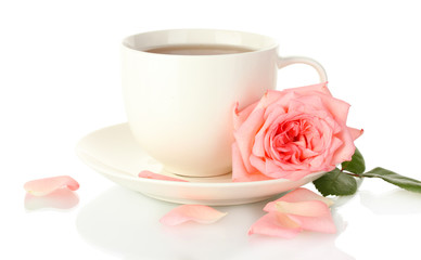 Fototapeta na wymiar filiżanka herbaty z róży na białym tle