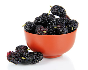 Ripe mulberries in bowl isolated on white
