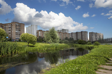 Fototapeta na wymiar urban landscape. River reeds, reflection building
