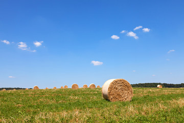 Straw Bales on a field