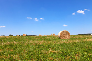 Straw Bales on a field