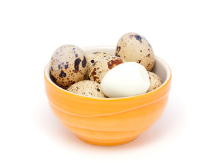 quail egg