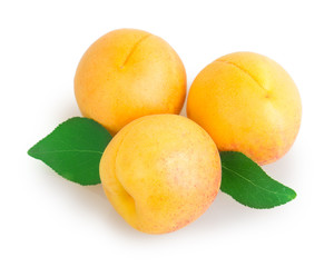 apricot