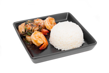 thai food, stir fried shrimp and basil with rice