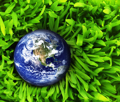 Globe in fresh green grass. Elements of this image furnished by
