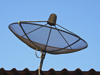 black dish