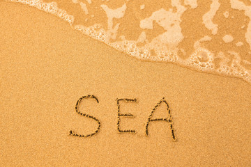 Sea - written by hand in sand on a sea beach.