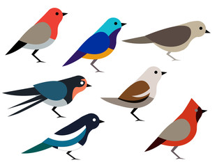 Set of different birds