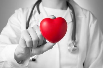 Doctor holding a red heart