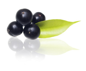 Amazon acai fruit with leaf isolated on white background.