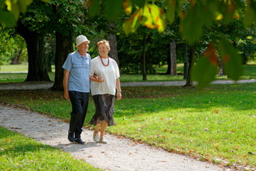 Senior happy couple walking in the park