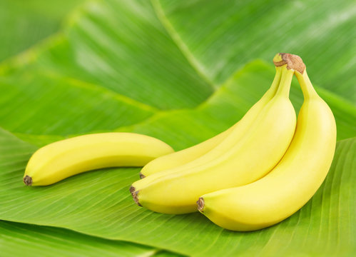 Bananen auf Bananenblättern
