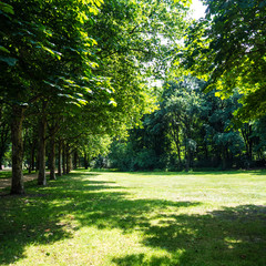 tiergarten berlin